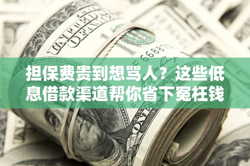 济南担保费贵到想骂人？这些低息借款渠道帮你省下冤枉钱