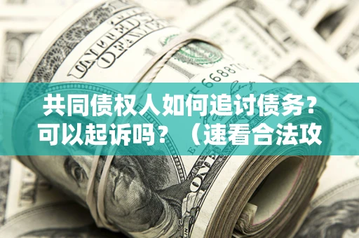 济南共同债权人如何追讨债务？可以起诉吗？（速看合法攻略）